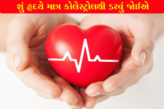 શું હૃદયે માત્ર કોલેસ્ટ્રોલથી ડરવું જેાઈએ