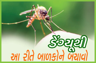 ડેંગ્યૂથી આ રીતે બાળકોને બચાવો