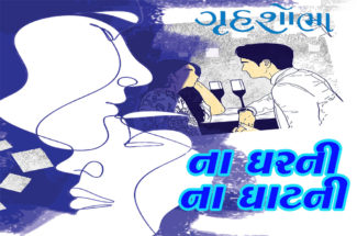 ના ઘરની ના ઘાટની