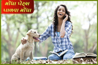મોંઘા પેટ્સ પાળવા મોંઘા